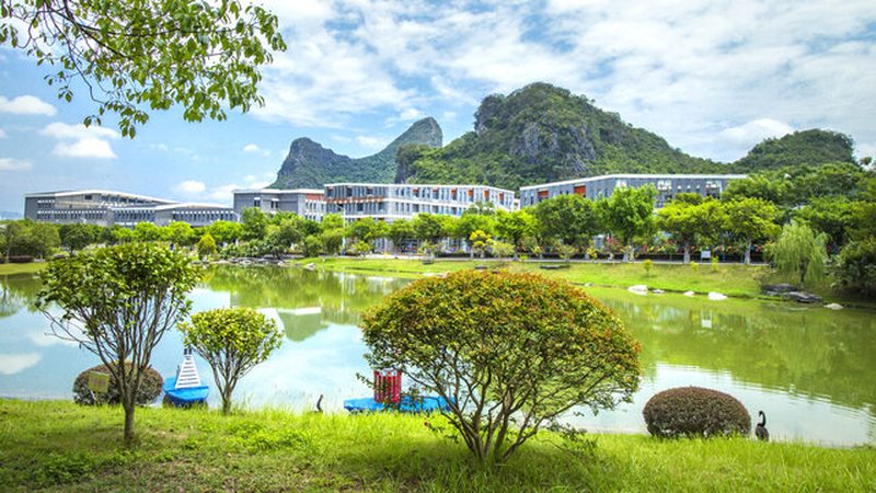 解码电子元器件检测：标准分类全解析**