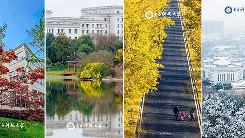 MLCC电容2025年价格趋势与选购要点解析
