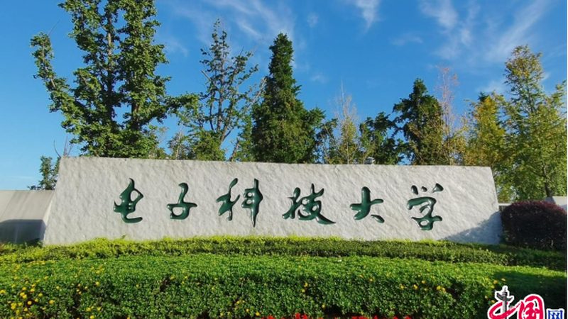 单片机设计中的关键元器件清单解析